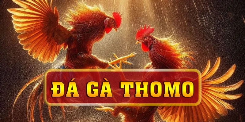 da-ga-thomo-avt